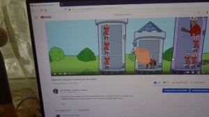 МИНИ ИЛИ СТАНДАРТ. Возможно ли точно "угадать", каким будет ваш йорк? Наша личная статистика.