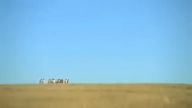 [HD] Exclusive Dockers I Wear No Pants 2010 SuperBowl 44 XLIV Commercial Ad смотреть онлайн