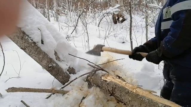 На буране в зимний лес, немного юмора ,порубили чаги и сделали солонец для зайцев и других зверюшек.