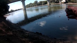 ЛОВЛЯ УКЛЕЙКИ НА РЕКЕ КУБАНЬ В АВГУСТЕ