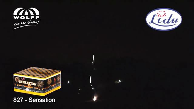 Sensation - Wolff Vuurwerk - Lidu (www.vuurwerkbieb.nl)