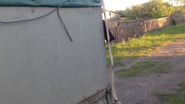 Перевозка крупных животных. смотреть онлайн