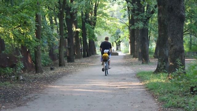 Тест видео режима Canon EOS 60D смотреть онлайн