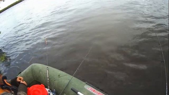 лето 2020,с корефаном на рыбалке,село Каменное смотреть онлайн