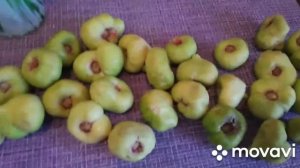 ВАРенье инжир с фундуком