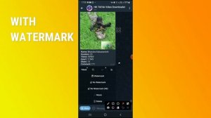 Download TikTok videos without watermark with Telegram bot |  වෝටමාක් නැතුව ටික් ටොක් වීඩියෝ බාමු