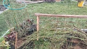 РОЗЫ.Как просто и надёжно укрыть розы. Надёжные каркасы.