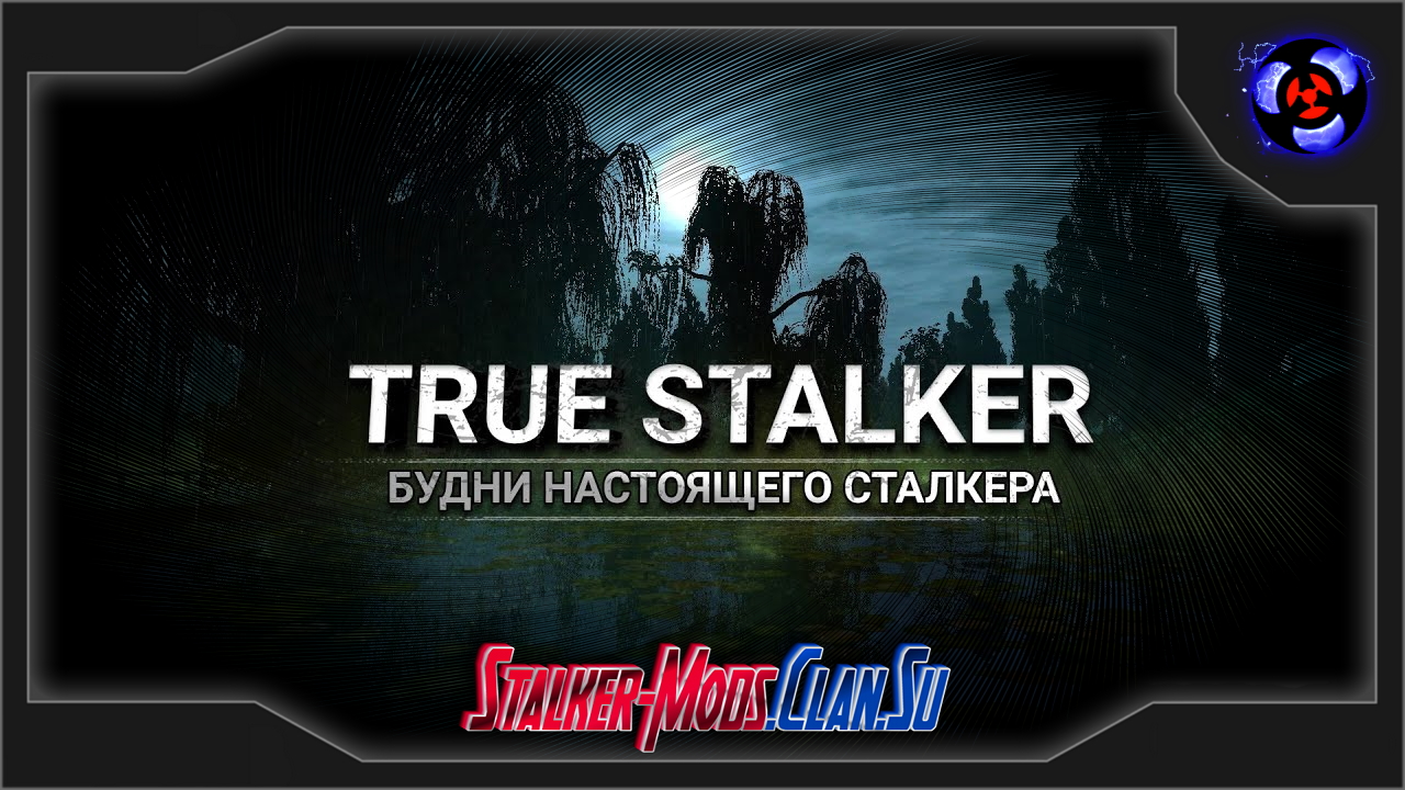 True Stalker. True Stalker кооператив?. Будни сталкера