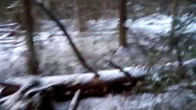 VID 20191201 153113 смотреть онлайн