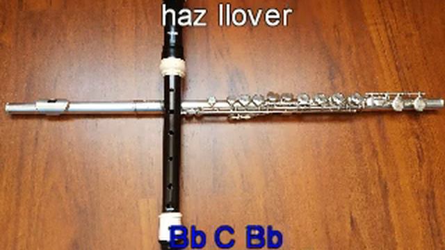 Abre los cielos - Jesús Adrián Romero -Tutorial Flauta - Nota a nota #59 #Alabanzas #Flauta смотреть онлайн