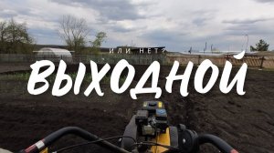 ВЫХОДНОЙ! Или нет? Копаем, косим, собираем в деревне