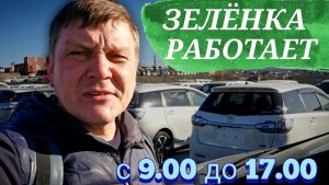 #зелёныйугол #Владивосток ЗЕЛЁНКА РАБОТАЕТ