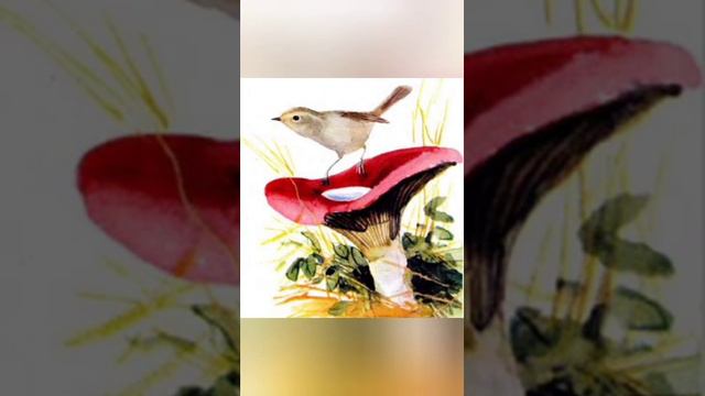 старый гриб смотреть онлайн