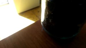 Как вырастить огневку ?