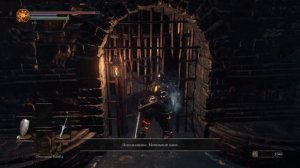 Dark souls 3 - (Часть 6)Ключ из пепла гробовщика(подземелья)