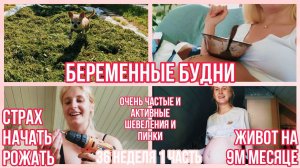 БЕРЕМЕННЫЕ БУДНИ ◈ СИЛЬНЫЕ ПИНКИ ◈ СТРАХ НАЧАТЬ РОЖАТЬ ◈ 36 неделя 1 Часть ◈ Влоги беременной Сашки