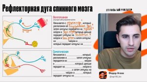 Рефлекторная дуга спинного мозга за 10 минут | ОГЭ по биологии | 100балльный