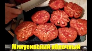 Дегустация и разрез томата Минусинский яблочный (семена от Мязиной).