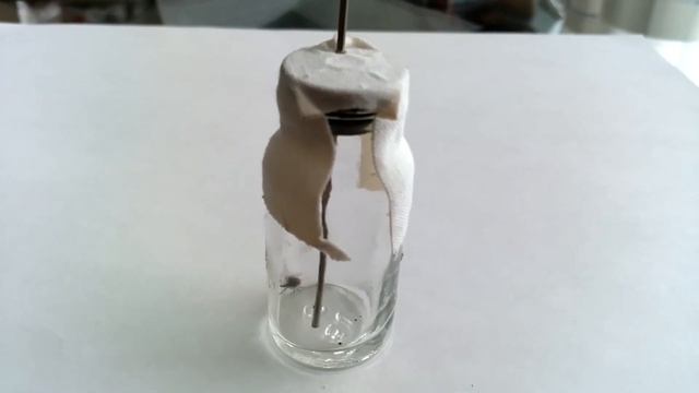 Присосался клещ. смотреть онлайн