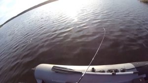 Рыбалка на спиннинг, на Рыбинском водохранилище, Весьегонск.