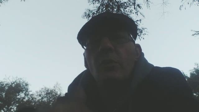 Так ли сильны челюсти крокодила, как нам это преподносят в научПОПЕ? | Крокодил против бегемота смотреть онлайн