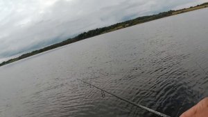 Чудо-озеро УДОМЛЯ. Ловля ОКУНЯ с применением секретной тактики!