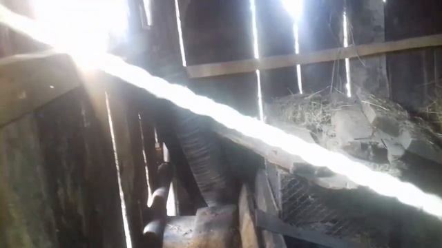 Лайфхак из шпагата смотреть онлайн