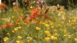 Приложение 8.3 Ручной белый баланс