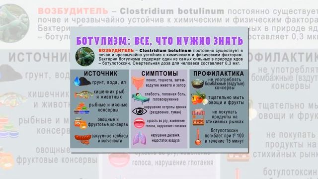 О выживании и выборе продуктов длительного хранения смотреть онлайн
