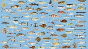 вред пластиковых пакетов | экологическая катастрофа 12+