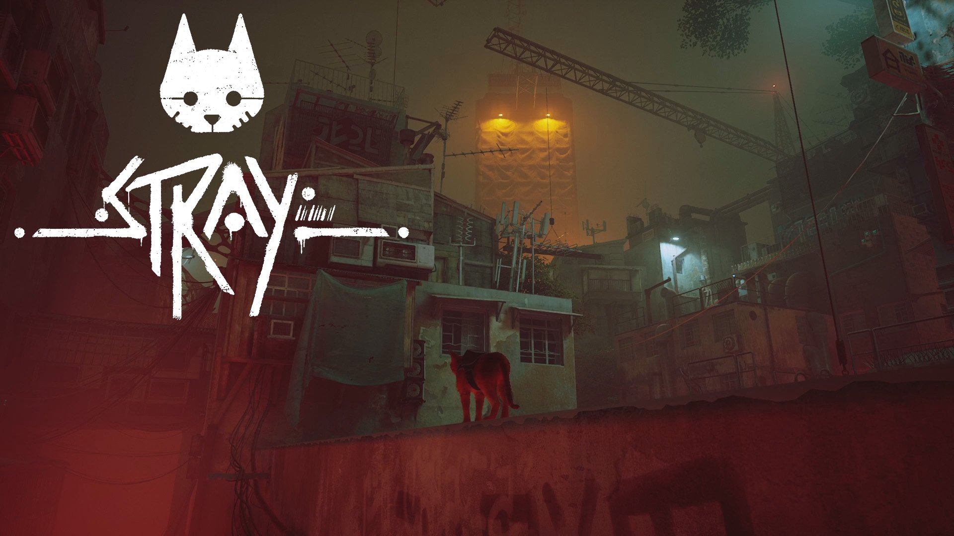 Stray ➪ # 3) Приемник