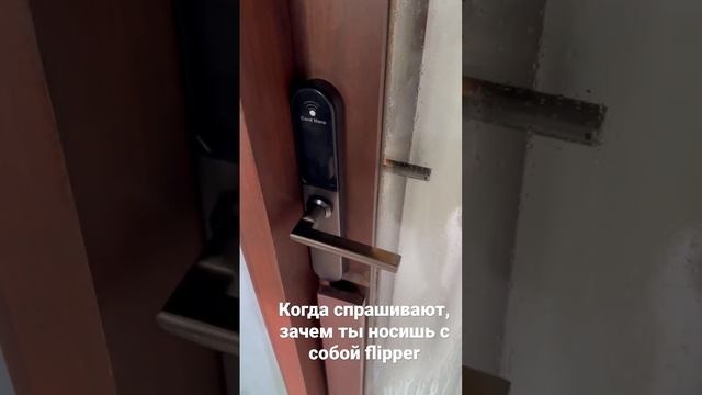 Друзья у меня спрашивают, зачем я таскаю в рюкзаке flipper zero #flipper #flipperzero #hacker #hack