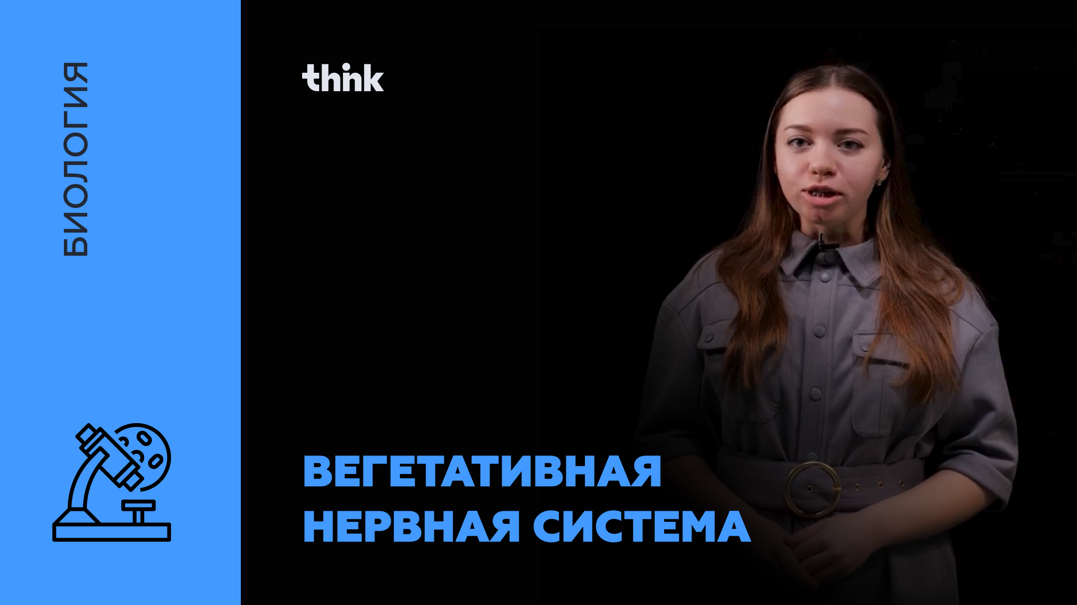 Вегетативная нервная система | Биология