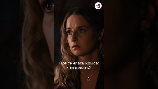 Самые страшные грызуны могут помочь! #shorts