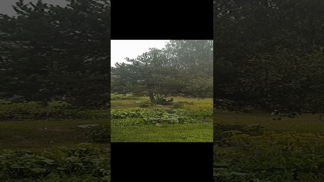 Вспомним лето, как все было красиво.