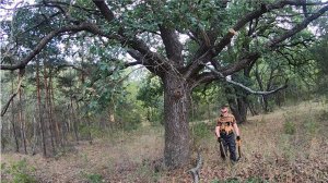 НАДЕЖДА НА КОПЕ ТОЖЕ УМИРАЕТ ПОСЛЕДНЕЙ!!