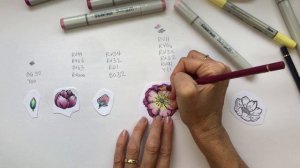 Paper Rose Studio - Create your own bouquet card