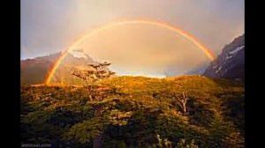 Детские Христианские рассказы (Сашина тайна)