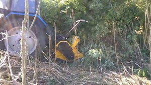 Мульчер Orsi W-forrest на МТЗ