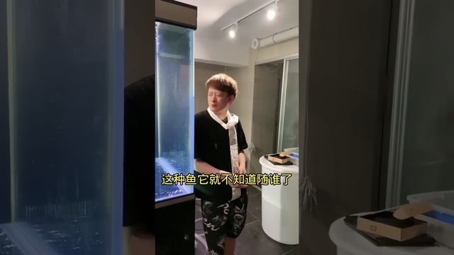 🈴燕子鰩這麼漂亮的身形，為什麼帶了一個拖拉機一樣的頭！ 想不明白 #王小怪 смотреть онлайн