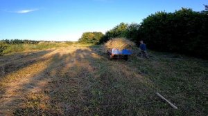 Мотоблок Мотор Сич на уборке сена. Motoblock Motor Sich for hay harvesting.