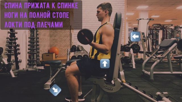 Сгибание предплечий со штангой сидя смотреть онлайн