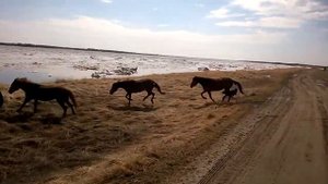 Каракат Зис-5 максимальная скорость