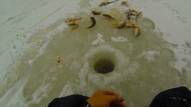 Первый лёд 2016-2017. Балансиры Helios Extreme смотреть онлайн