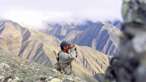 Трейлер в фильму "Северный ветер бывает теплым" - участник МКФ ARCTIC OPEN 2019