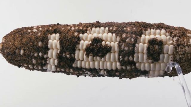 100 años - Irrigador oral смотреть онлайн