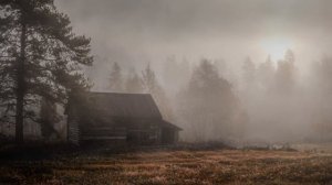 Брат ты мой единственный. Майк Гелприн. Аудиорассказ. Постапокалипсис