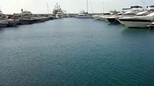 Рыбалка в Сочи, ловля кефали в порту