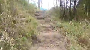 Река Четь Томская область.