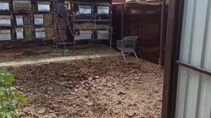 баба Яга из дерева своими руками